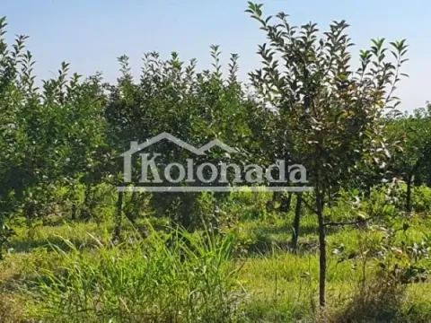 Sale, land lot, 13400m², Djurinci, Sopot - image 9