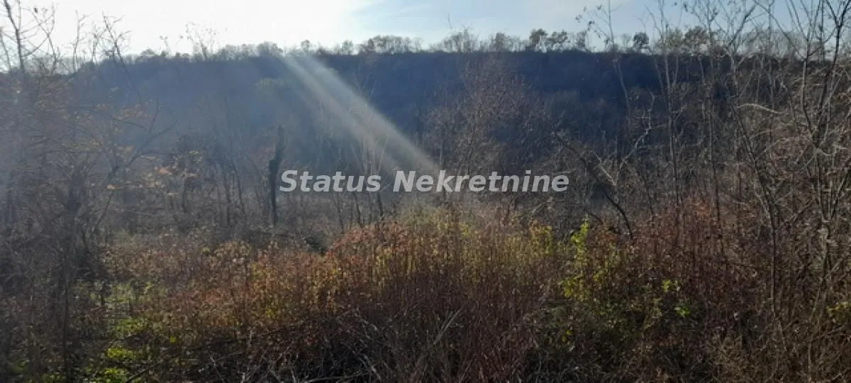 Prodaja, plac, 13011m², Beočin, Srbija