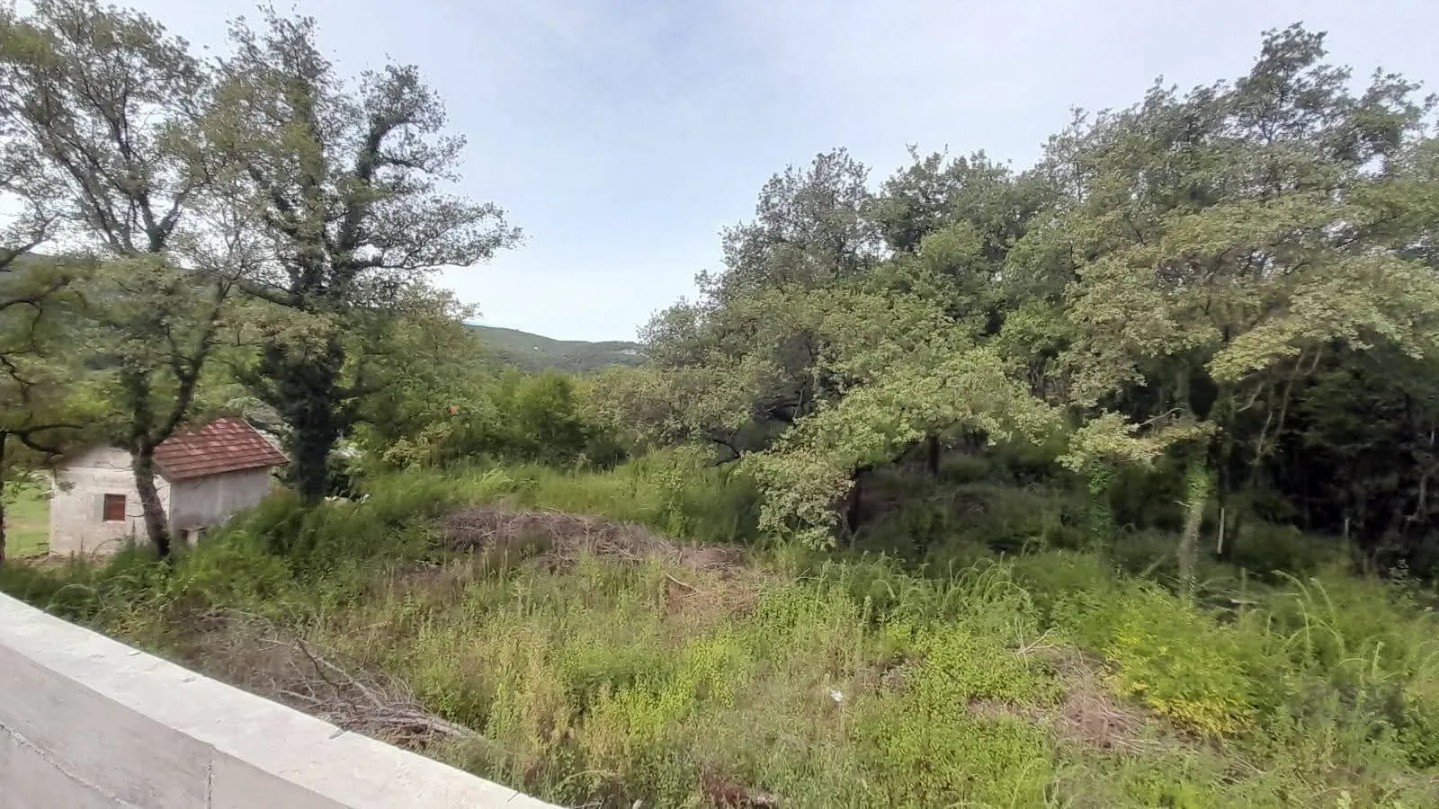 Prodaja, plac, 1668m², Radanovići, Kotor