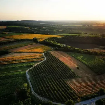 Prodaja, kuća, 62m², Bačka Palanka, Novi Sad - image 14