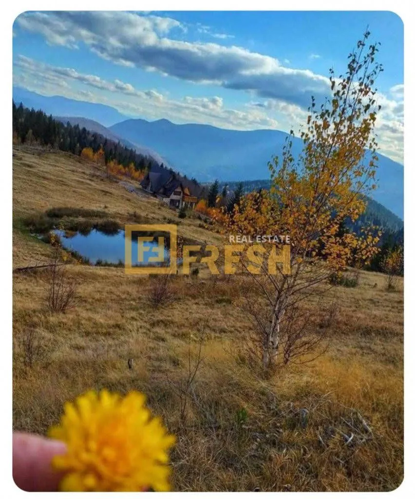 Prodaja, plac, 6000m², Berane, Crna Gora