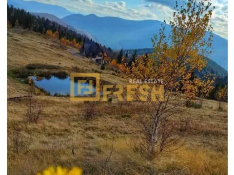 Prodaja, plac, 6000m², Berane, Crna Gora - image 15