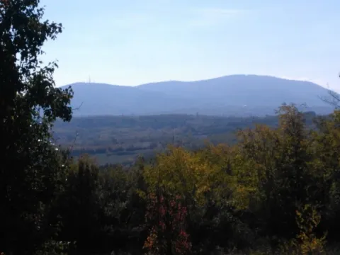 Prodaja, plac, 5400m², Sopot, Beograd - image 3