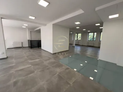 Izdavanje, poslovni prostor, 190m², Bulevar patrijarha Pavla, Novi Sad Sve Podlokacije - image 9
