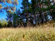 Prodaja, plac, 59443m², Žabljak, Crna Gora - image 3