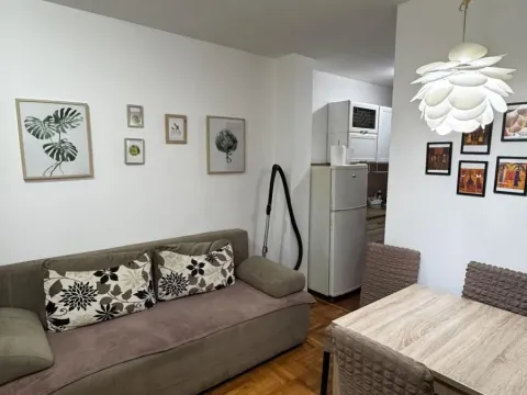 Sale, one bedroom apartment, 31m², Cvetkova Pijaca, Zvezdara Sve Podlokacije - image 4