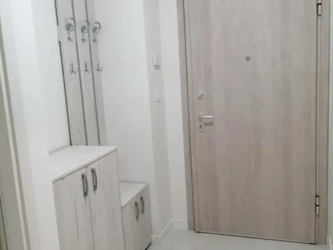 Izdavanje, jednosoban stan, 49m², Central Point, Podgorica - image 7