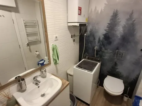 Rent, one bedroom apartment, 43m², Podbara, Novi Sad Sve Podlokacije - image 12