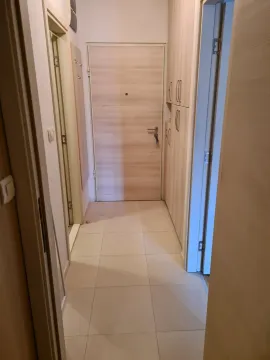 Izdavanje, dvosoban stan, 35m², Zabjelo, Podgorica - image 3