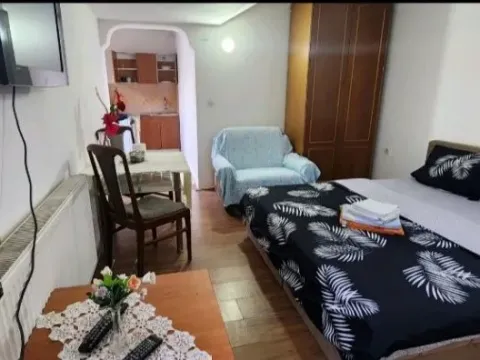 Rent, one bedroom apartment, 30m², Petrovaradin, Novi Sad - image 11