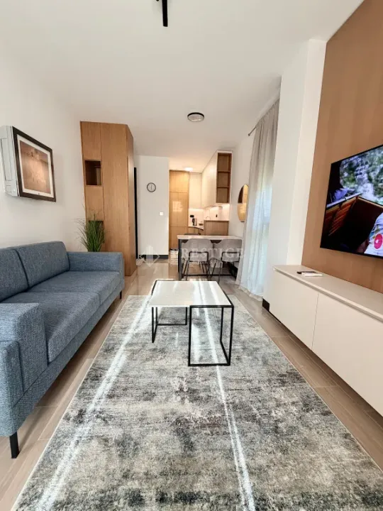 Rent, one bedroom apartment, 43m², Zagorič, Podgorica