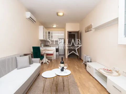 Izdavanje, jednosoban stan, 45m², Vezirov Most, Podgorica - image 2