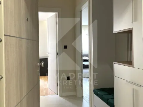 Izdavanje, jednosoban stan, 53m², Central Point, Podgorica - image 9