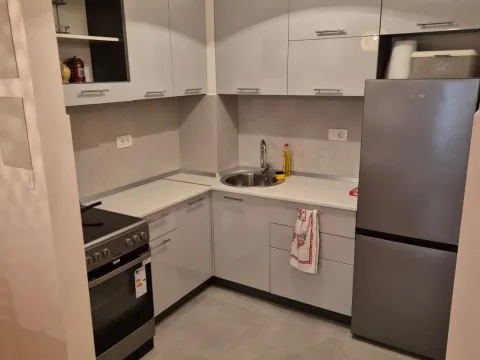 Izdavanje, jednosoban stan, 40m², Central Point, Podgorica - image 7