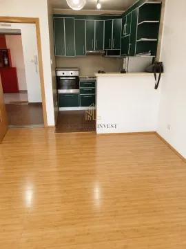 Rent, one bedroom apartment, 46m², Krivi Most, Podgorica - image 4