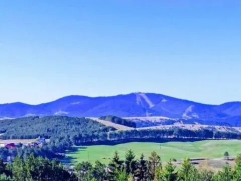 Prodaja, dvosoban stan, 41m², Zlatibor, Srbija - image 11