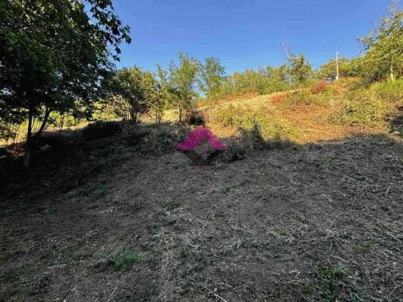 Prodaja, plac, 1666m², Beška, Inđija