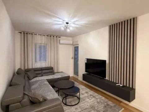 Izdavanje, jednosoban stan, 47m², Central Point, Podgorica - image 1