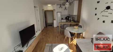 Izdavanje, dvosoban stan, 40m², Liman 4, Novi Sad Sve Podlokacije - image 6