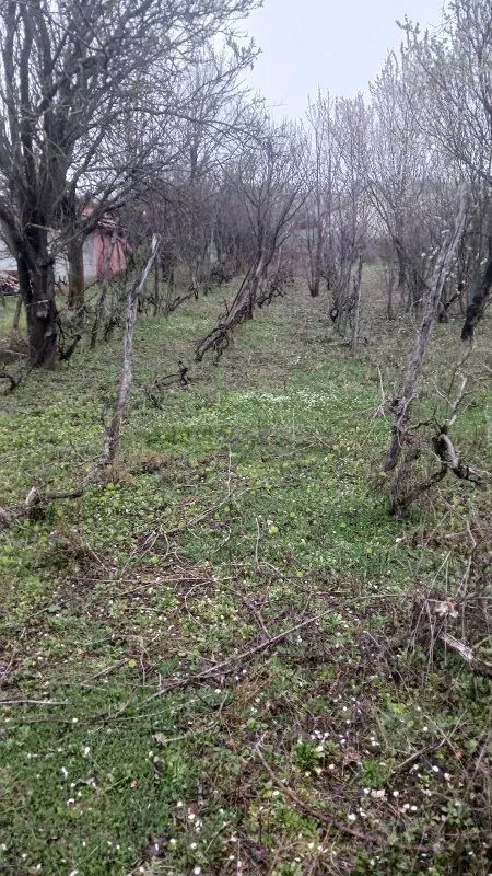Prodaja, kuća, 70m², Krčedin, Inđija