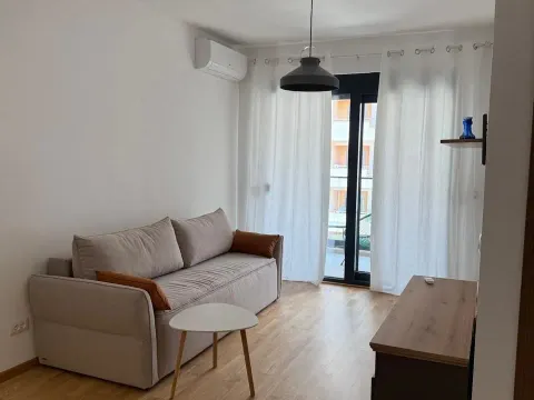 Rent, one bedroom apartment, 47m², Rozino, Budva - image 4