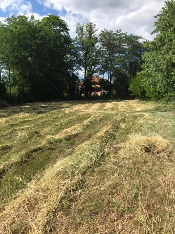 Prodaja, plac, 1019m², Golubovci, Podgorica