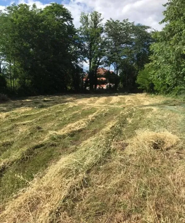 Sale, land lot, 1019m², Golubovci, Podgorica