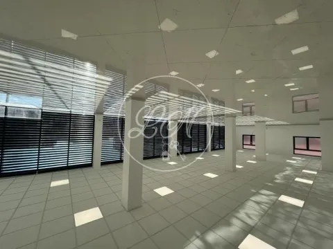 Izdavanje, poslovni prostor, 228m², Altina, Beograd - image 10