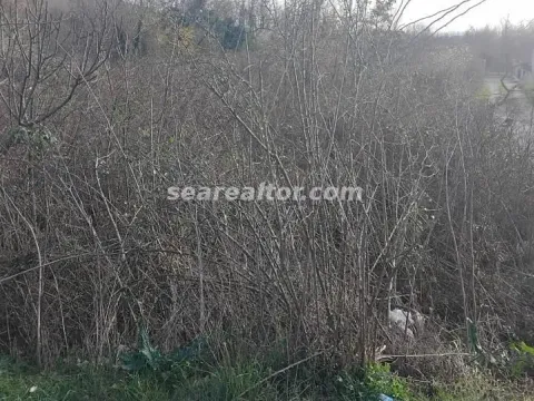 Prodaja, plac, 2386m², Dajbabe, Podgorica - image 4