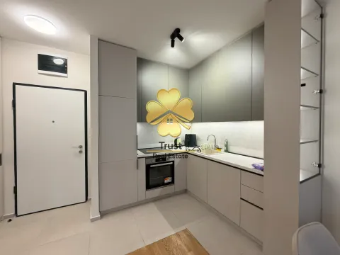Modern and tidy kitchen with built-in appliances and cabinetry. - image 4