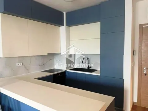 Izdavanje, dvosoban stan, 60m², Novi Beograd Blok 65, Novi Beograd Sve Podlokacije - image 6