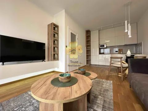 Izdavanje, jednosoban stan, 45m², Gorica C, Podgorica - image 5