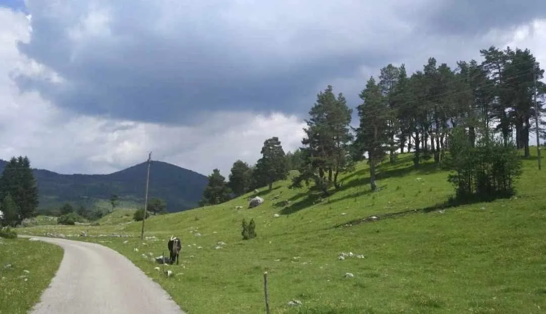 Prodaja, plac, 17000m², Žabljak, Crna Gora