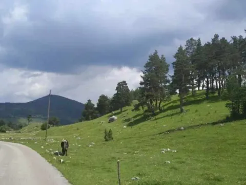 Prodaja, plac, 17000m², Žabljak, Crna Gora - image 6