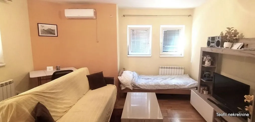 Dnevna soba sa kaučem, krevetom i televizorom.