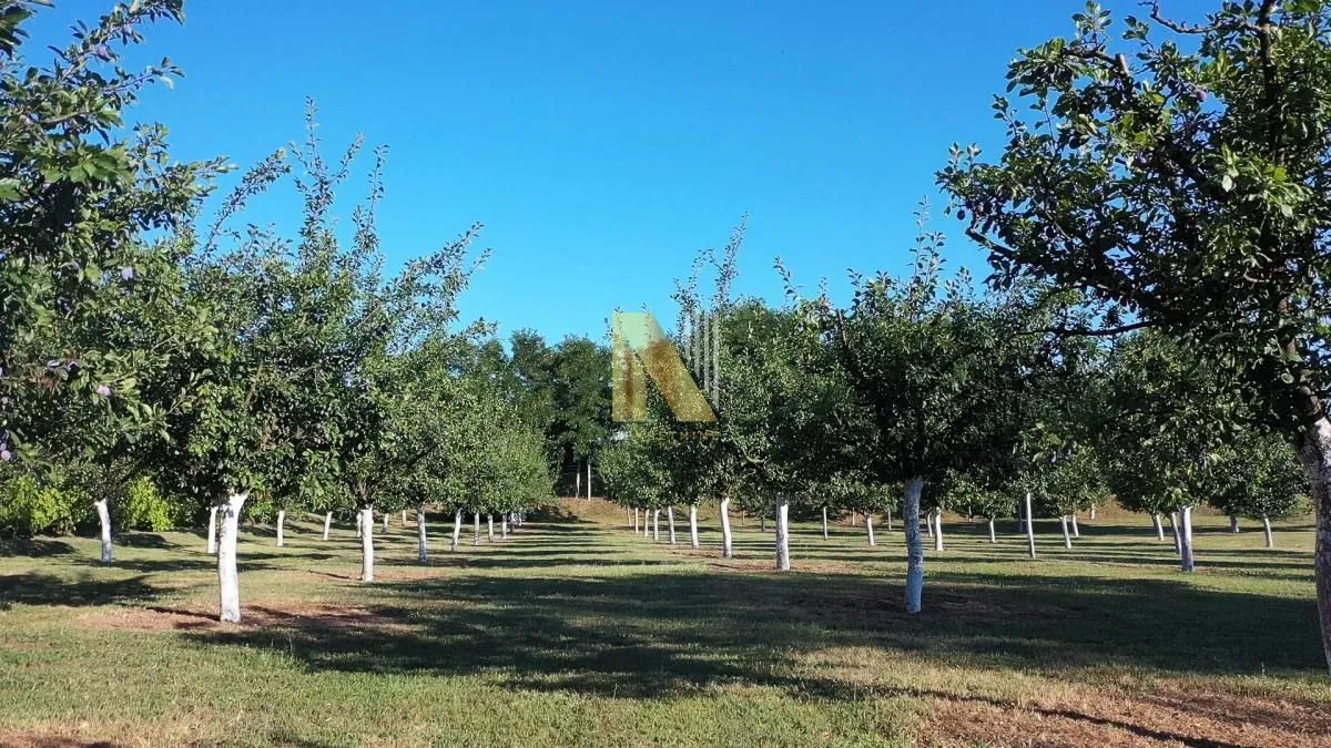 Prodaja, plac, 190m², Kikinda, Srbija