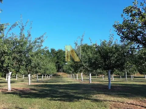 Sale, land lot, 190m², Kikinda, Srbija - image 37