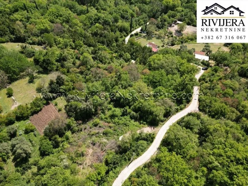 Prodaja, plac, 13123m², Sasovići, Herceg Novi