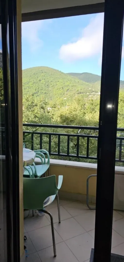 Rent, one bedroom apartment, 38m², Lazi, Budva