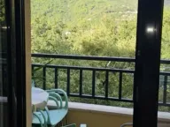 Rent, one bedroom apartment, 38m², Lazi, Budva - image 5