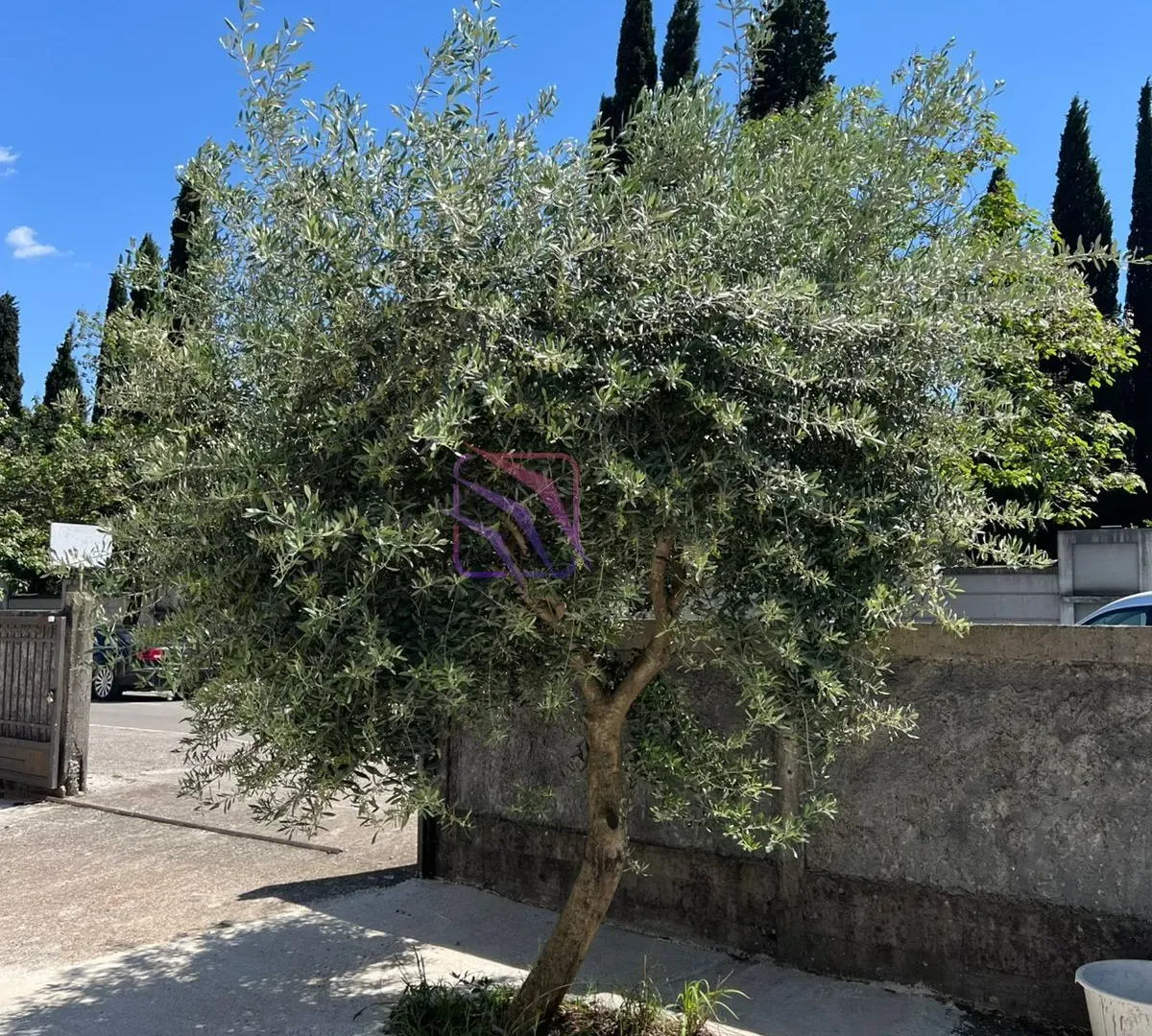 Prodaja, kuća, 343m², Zabjelo, Podgorica