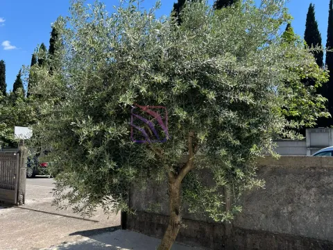 Prodaja, kuća, 343m², Zabjelo, Podgorica - image 2