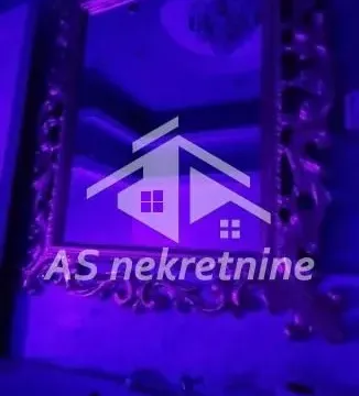 Izdavanje, četvorosoban stan, 200m², Vračar Hram, Vračar Sve Podlokacije - image 16