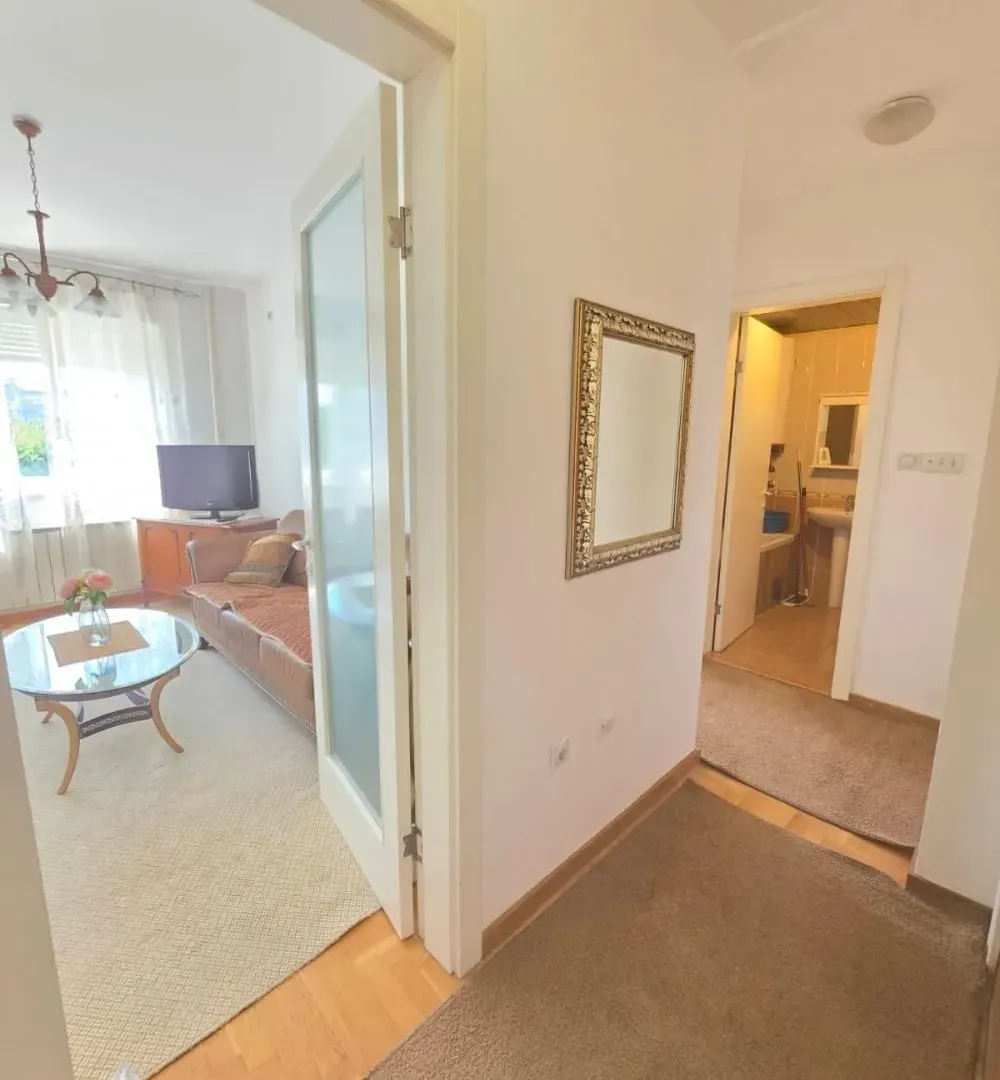 Rent, two bedroom apartment, 51m², Novi Beograd Blok 22, Novi Beograd Sve Podlokacije
