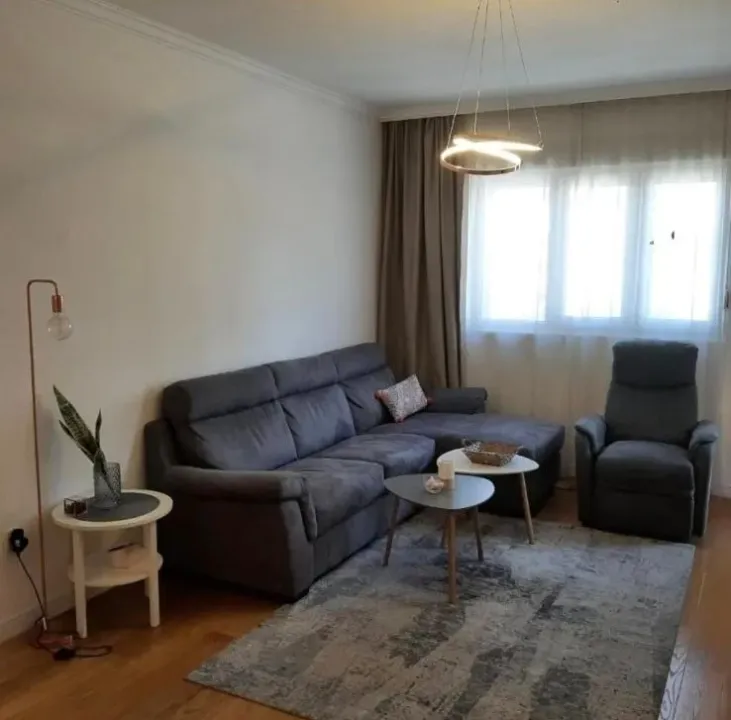 Rent, one bedroom apartment, 46m², Central Point, Podgorica