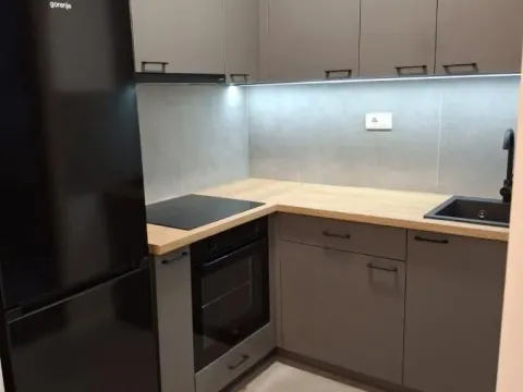 Izdavanje, dvosoban stan, 35m², Pasino Brdo, Voždovac Sve Podlokacije - image 4