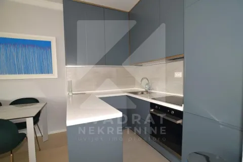 Modern kitchen with blue cabinetry and built-in appliances in an apartment. - image 4