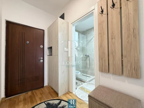 Rent, one bedroom apartment, 45m², Zagorič, Podgorica - image 6