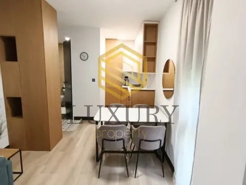 Rent, one bedroom apartment, 45m², Vezirov Most, Podgorica - image 4