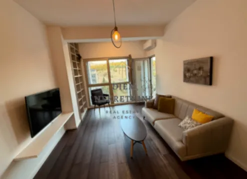 Rent, one bedroom apartment, 48m², Vezirov Most, Podgorica